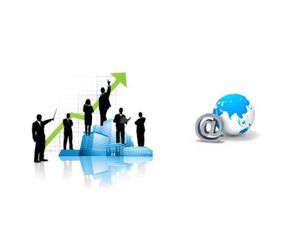 科技企業(yè)孵化器的組織結(jié)構(gòu)及發(fā)展趨勢(shì) 以信息技術(shù)咨詢服務(wù)為例